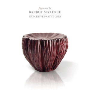 Moule "Fleur de Cabosse" – Signature Barbot Maxence