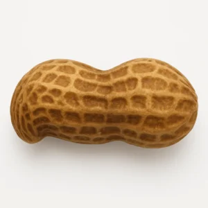 Arachide