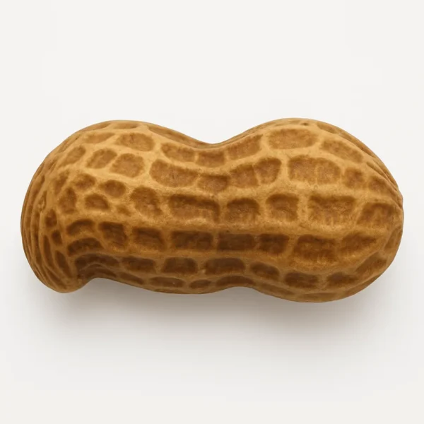 Arachide