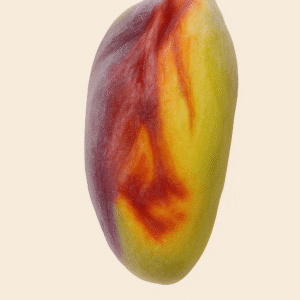 Pistacchio